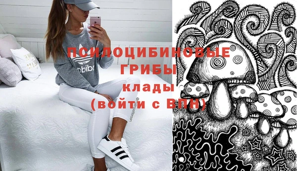 mix Няндома