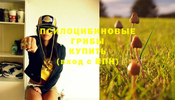 mix Няндома