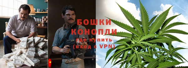 spice Нягань