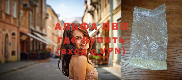 ешки Новозыбков