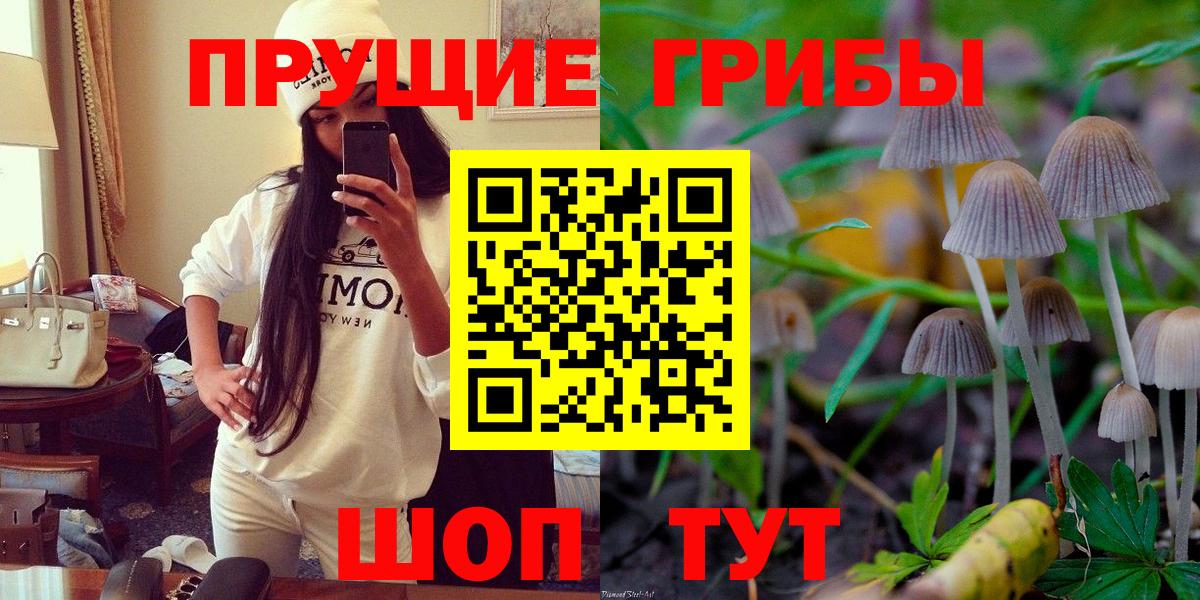 Галлюциногенные грибы GOLDEN TEACHER  хочу наркоту  Бугуруслан 